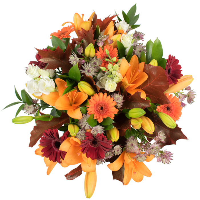 A lush, professional hand-tied bouquet photographed from above on white, this arrangement embodies autumnal abundance as if gathered from a Canonbury garden walk. Prominent, fully opened orange Asiatic lilies take centre stage, their wide, trumpet-like petals glossy and saturated, while many pale green and orange lily buds nestle nearby, promising further blooms and adding layered depth. Bright orange Gerbera daisies and rich burgundy gerberas punctuate the design with bold round faces and textured centres, their contrast sharpened by soft, creamy white lisianthus whose ruffled petals offer gentle relief. Elegant clusters of purple-grey Astrantia drift through the bouquet like delicate stars, contributing a papery, textured counterpoint to the lilies' smooth petals. Large, lobed leaves in deep reddish-brown evoke fallen oak or maple and are intentionally placed to echo the colour palette of late autumn, calling to mind walks past the plane trees around Canonbury Square and the warm russet tones found in local hedgerows. Verdant green foliage and slim stems weave a supporting lattice, keeping the composition lively and structurally sound. The lighting is bright and even, allowing the saturated oranges, burgundies, creams, and greens to read clearly and vibrantly against the white backdrop. As a local florist at Flowers Canonbury, I picture this bouquet on a Thanksgiving table, a housewarming gift, or a birthday celebration - each stem chosen for freshness and visual harmony, the overall effect one of warmth, harvest celebration, and considered craftsmanship for customers across Canonbury and neighbouring Islington streets.